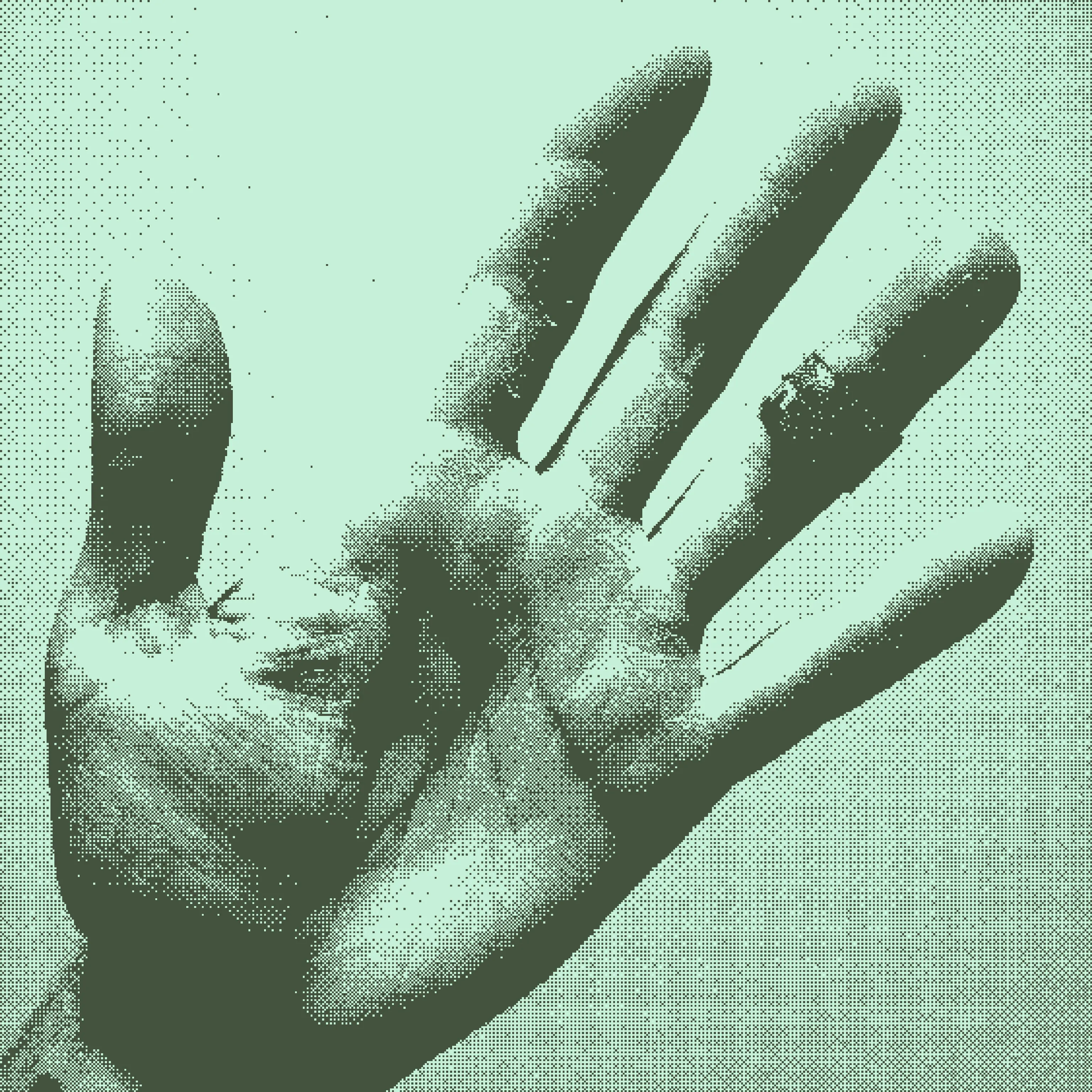 Photo of my hand with the ring finger tapped